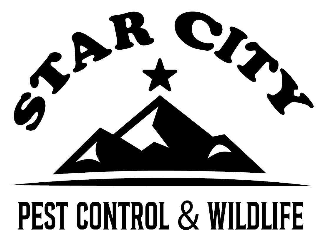 Starcity Pest Control
